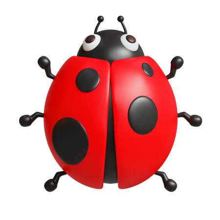 Coccinelle  3D Icon