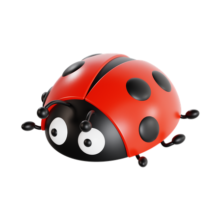 Coccinelle  3D Icon