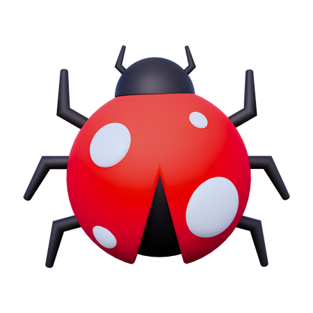 Coccinelle  3D Icon