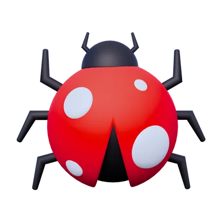 Coccinelle  3D Icon