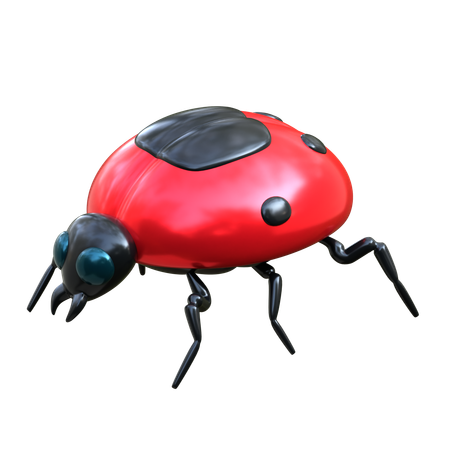 Coccinelles  3D Icon