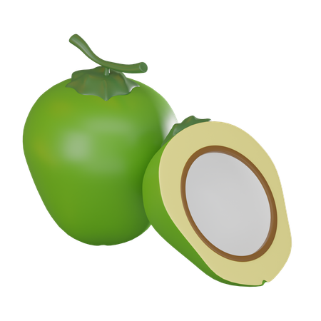 Noce di cocco  3D Icon