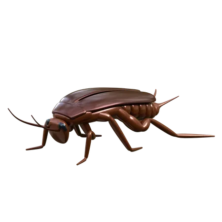 Cockroach 3 D Insect Illustration 3D Icon