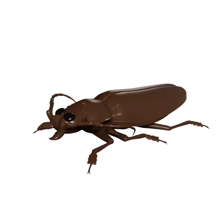 Cockroach  3D Icon