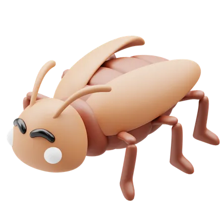 Cockroach  3D Icon