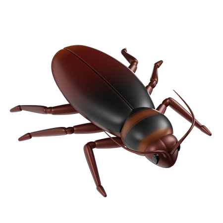 Cockroach  3D Icon