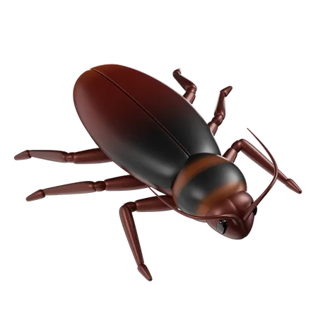 Cockroach  3D Icon