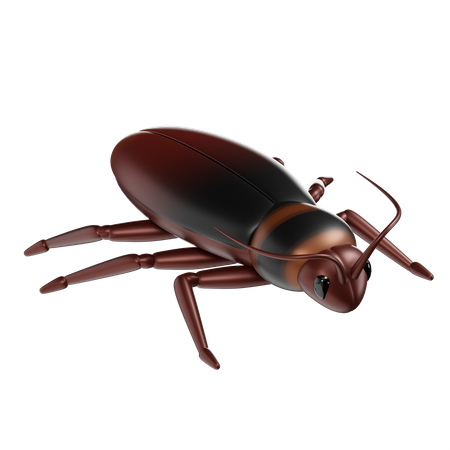 Cockroach  3D Icon