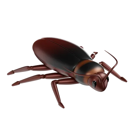 Cockroach  3D Icon