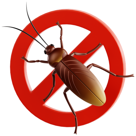 Cockroach  3D Icon