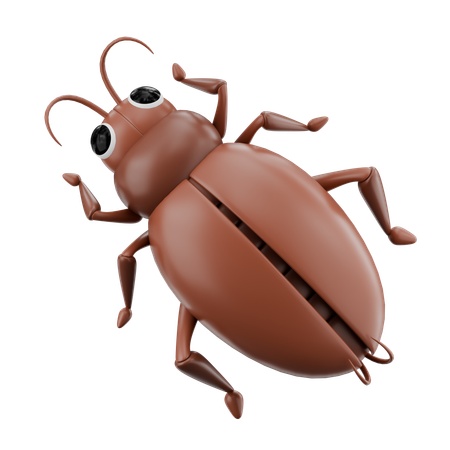 Cockroach  3D Icon