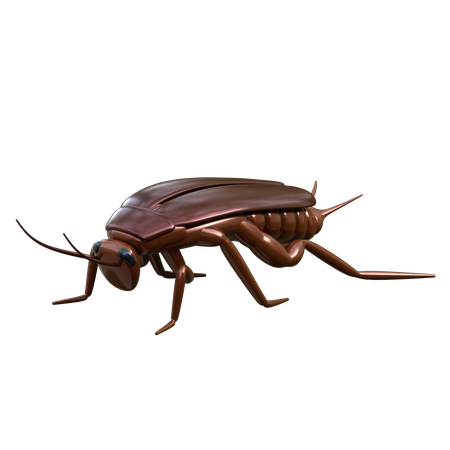 Cockroach  3D Icon