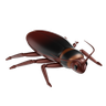 cockroach 3d image