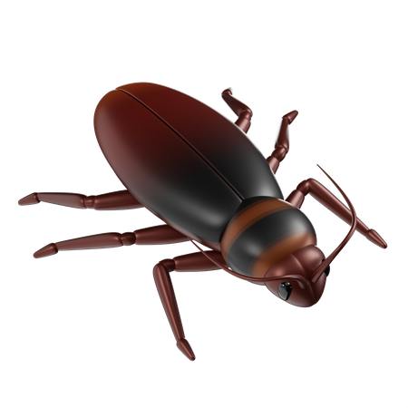 Cockroach 3D Icon
