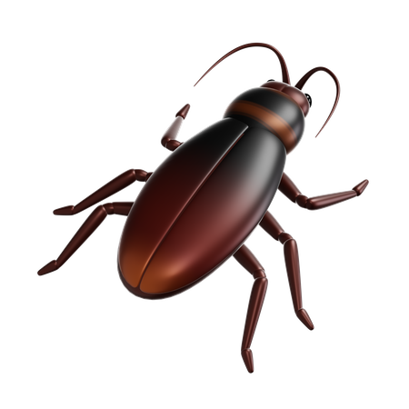 Cockroach 3D Icon