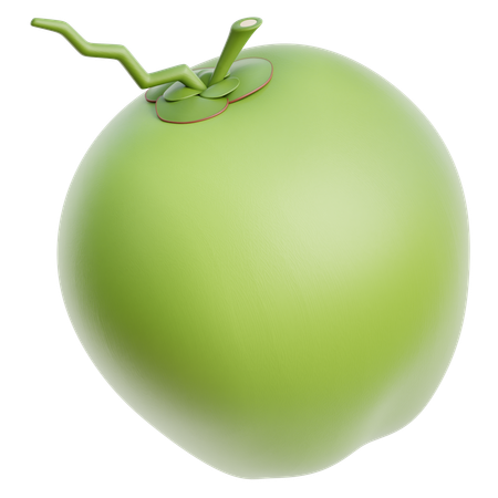 Coco  3D Icon