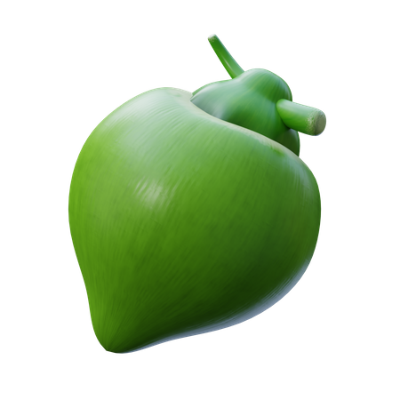 Coco  3D Icon