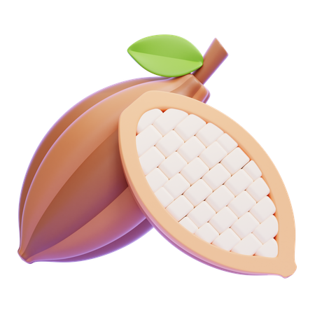 코코아  3D Icon