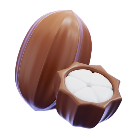 Cocoa Fruit  3D Icon