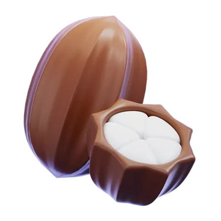 Cocoa Fruit  3D Icon