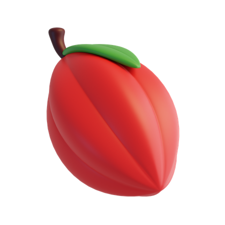 Cocoa Fruit  3D Icon