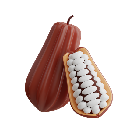 Cocoa Fruit  3D Icon