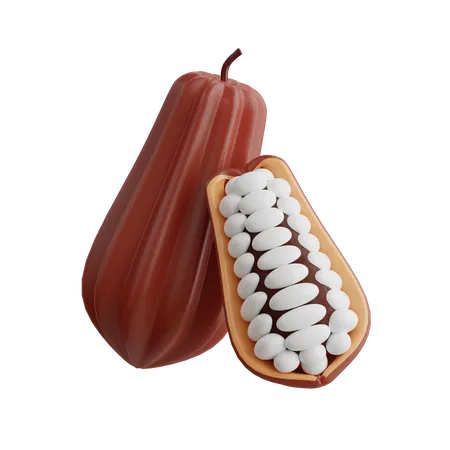 Cocoa Fruit  3D Icon