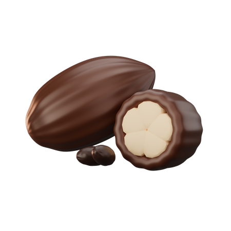 Cocoa Fruit  3D Icon