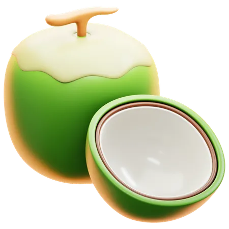 Coconut  3D Icon