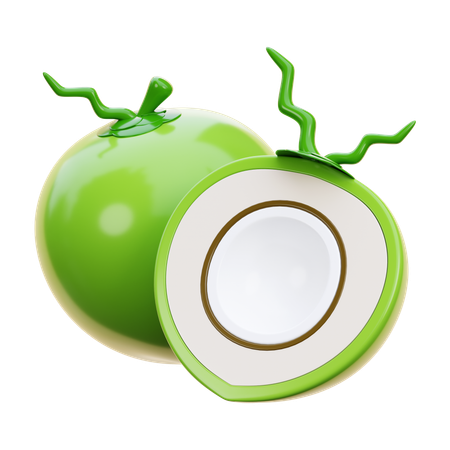 Coconut  3D Icon