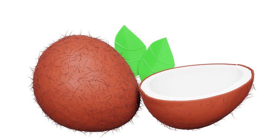 Coconut  3D Icon