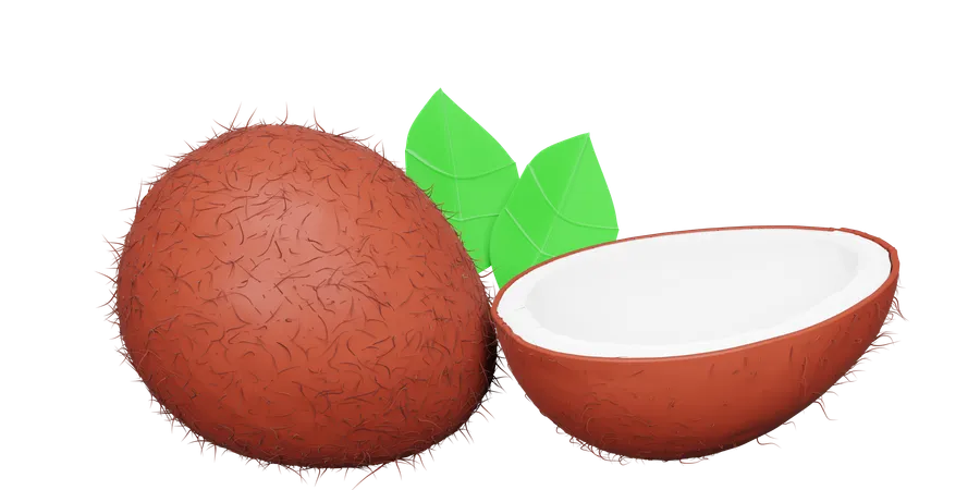 Coconut  3D Icon