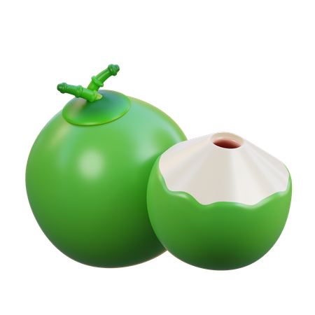 Coconut  3D Icon