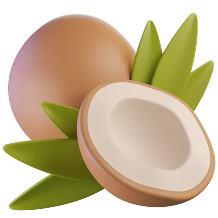 Coconut  3D Icon