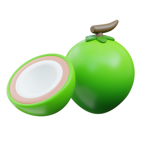 Coconut  3D Icon