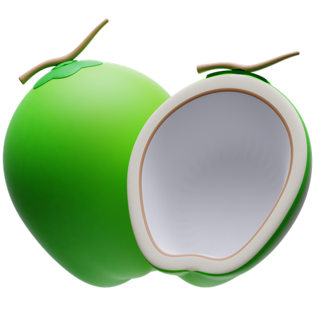 Coconut  3D Icon