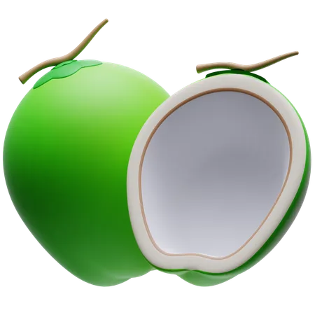 Coconut  3D Icon