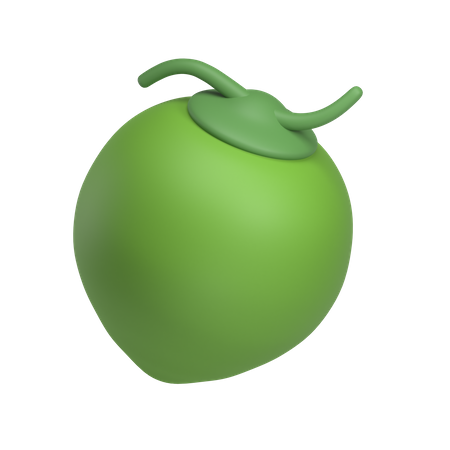 Coconut  3D Icon