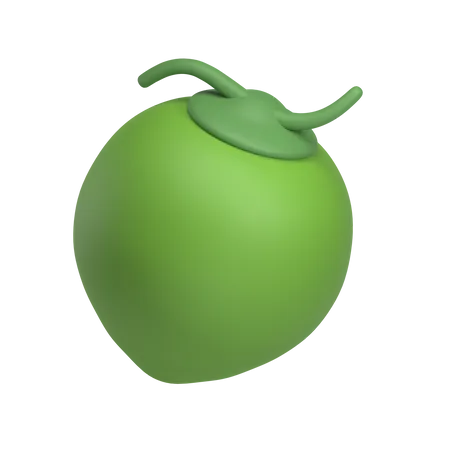 Coconut  3D Icon