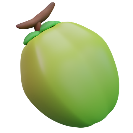 Coconut  3D Icon