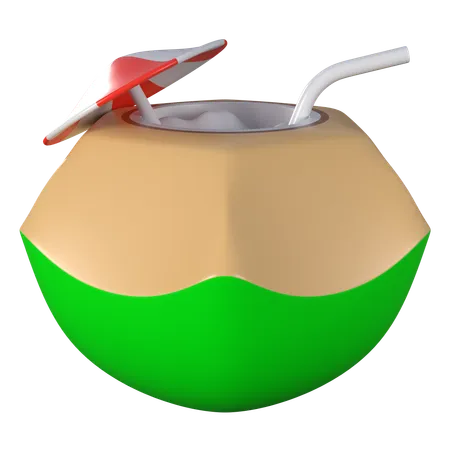 Coconut  3D Icon