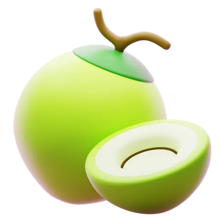 COCONUT  3D Icon