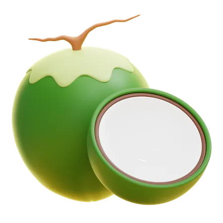 Coconut  3D Icon