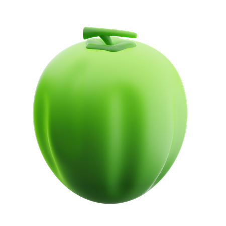 Coconut  3D Icon