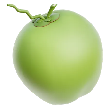 Coconut  3D Icon