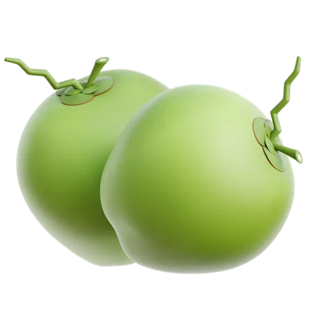 Coconut  3D Icon