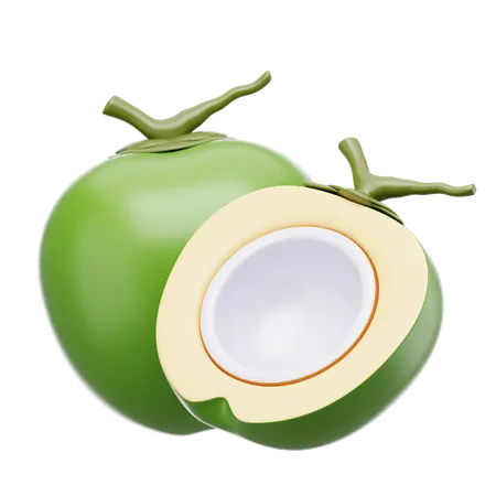 Coconut  3D Icon