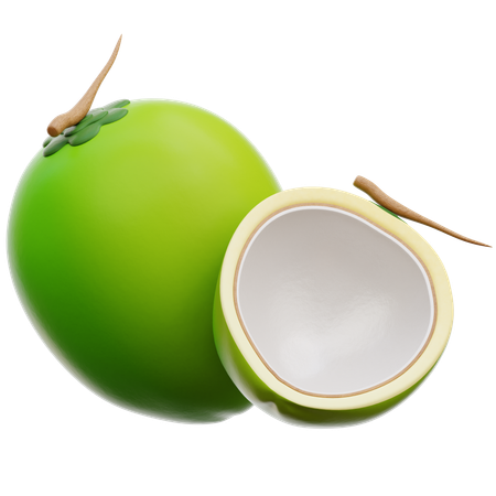 Coconut  3D Icon