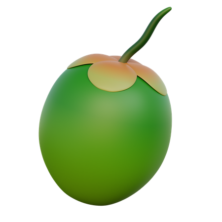 Coconut  3D Icon