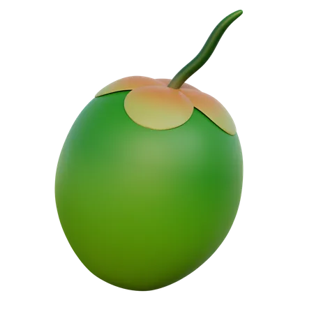 Coconut  3D Icon